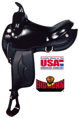 Big Horn 16